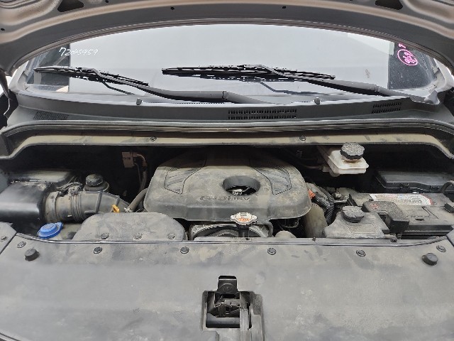 lotterental_101811355_352DU_6.jpg
