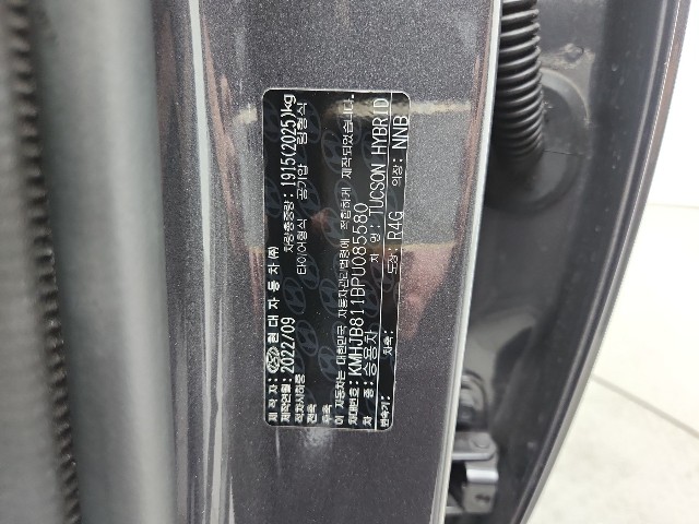 lotterental_162952909_EsDN1_6.jpg