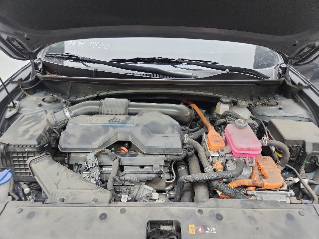 lotterental_163317888_4Uos3_8.jpg