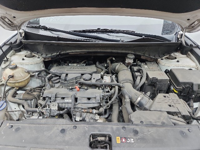 lotterental_101441251_9wC4q_7.jpg