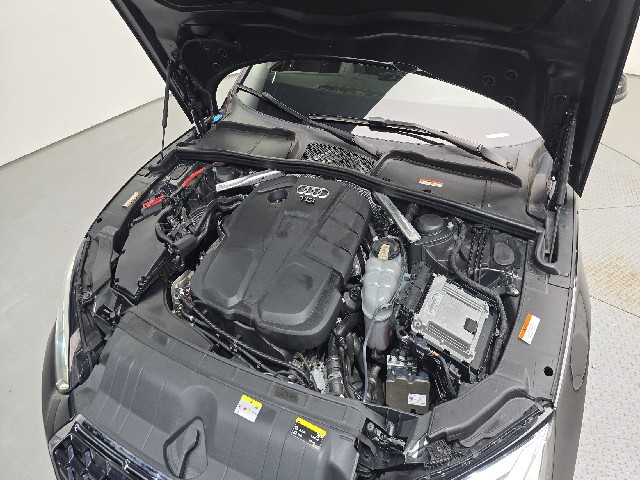 ff2104f50827c3e9f1ff01de8a245411.jpeg