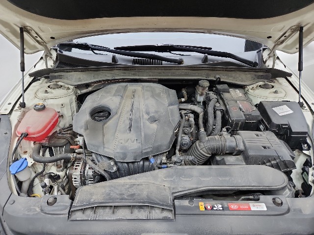 lotterental_164433584_gwtmM_9.jpg