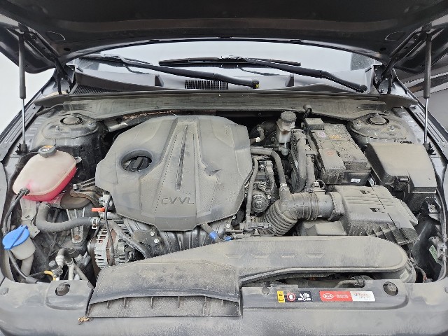 lotterental_101005838_fq43n_10.jpg