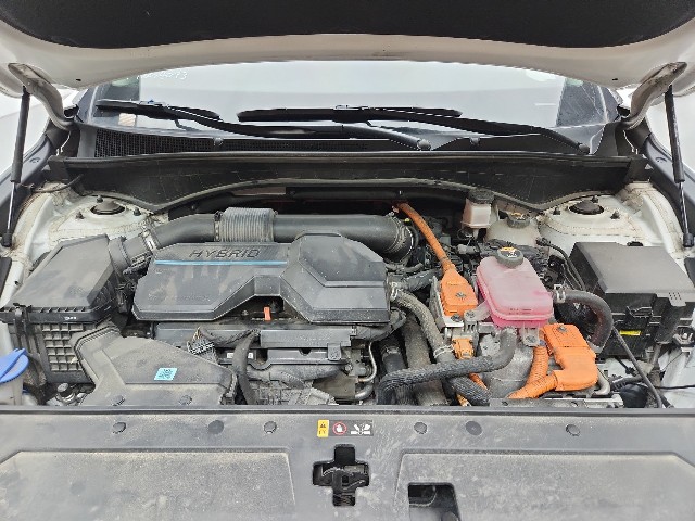 lotterental_171810694_sj3LC_9.jpg