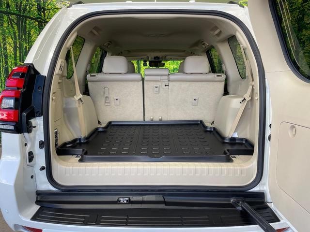 27032414_carP_l_6.jpg
