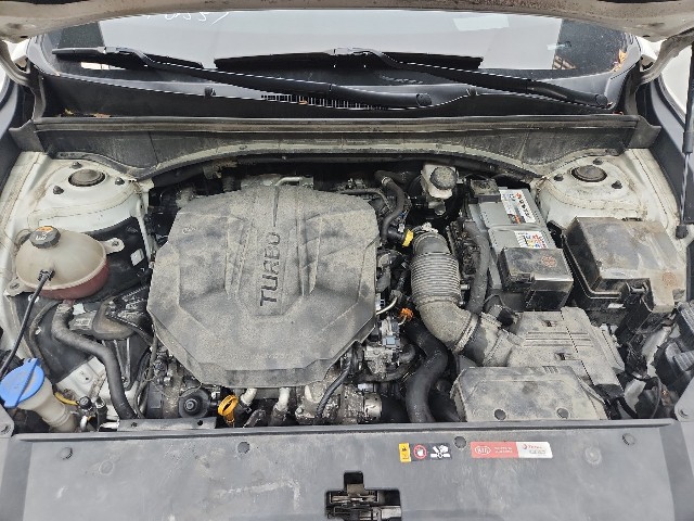 lotterental_144324574_vT5YE_2.jpg