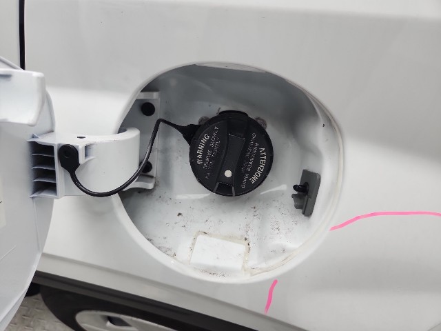 lotterental_155740796_LGWip_2.jpg