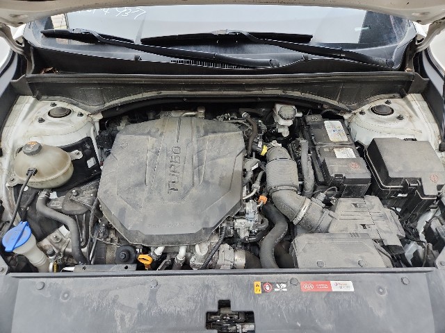 lotterental_155645862_sW3T0_4.jpg
