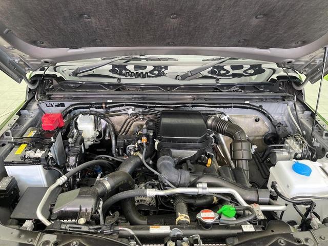 26924718_carP_l_16.jpg