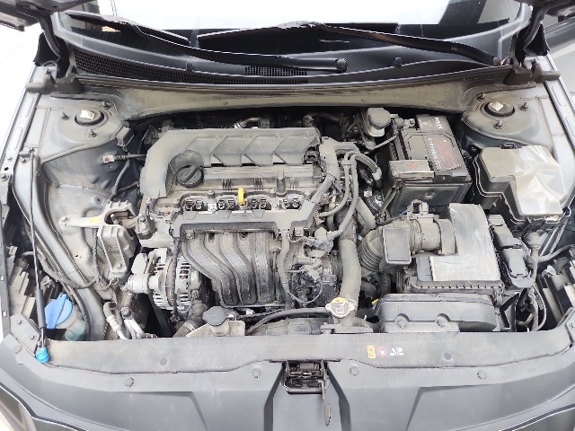 lotterental_20390041_vzuOp_8.jpg