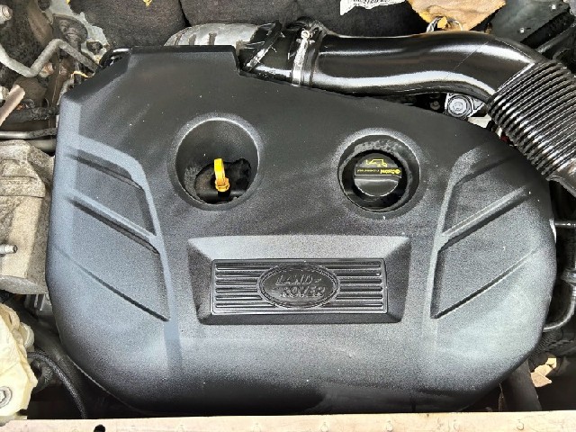 49f005bc1aa68d7cdf4c40c95d7296f6.jpeg
