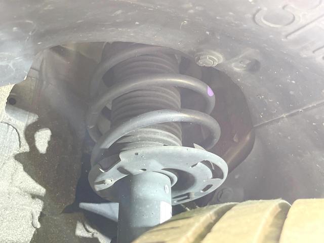 22855780_carP_l_20.jpg