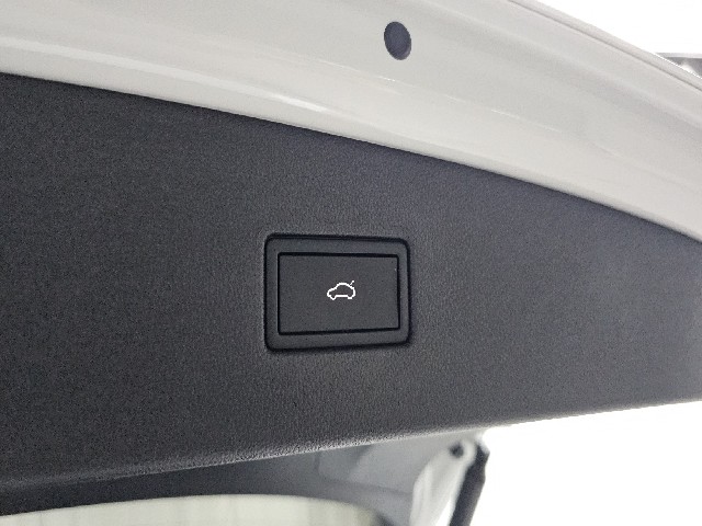 e82140ac453e3ac221369100a4548161.jpeg
