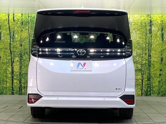 26731506_carP_l_9.jpg