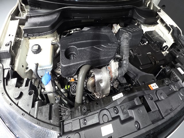 c152e29234ef9a86b56ae82ec5b88262.jpeg