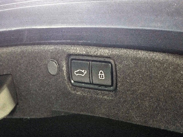 b309e8c3b4dd26a8a00f3ea300481b2a.jpeg