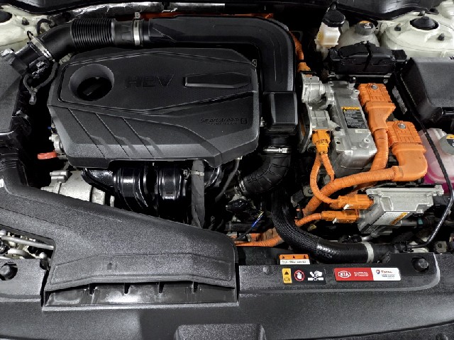 d5e86ba831529cee67fca35309a6d5cf.jpeg