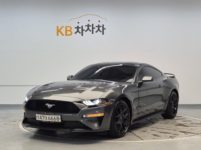 6081500335R1.jpg