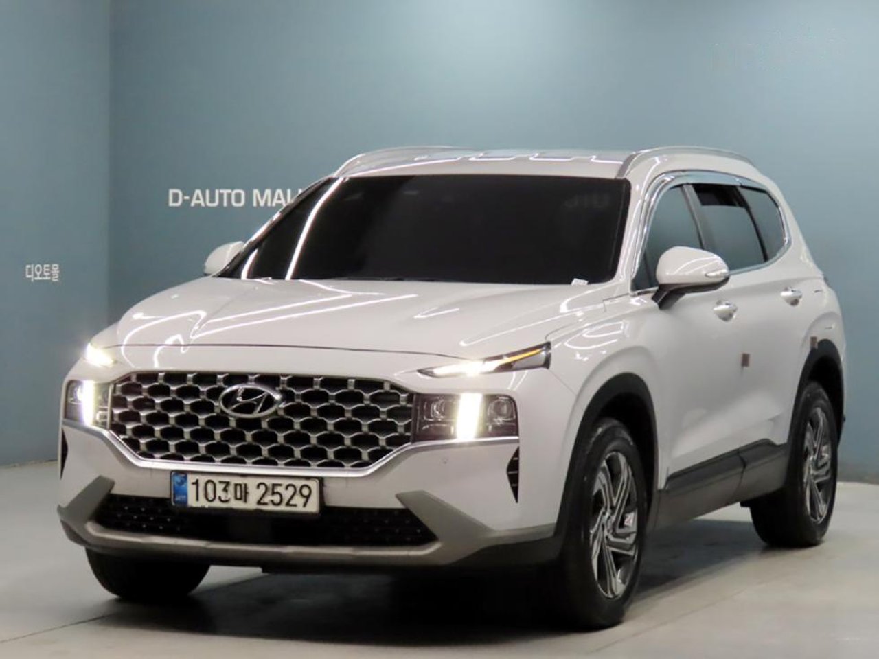 2020 Hyundai Santa, photo 1 of 1