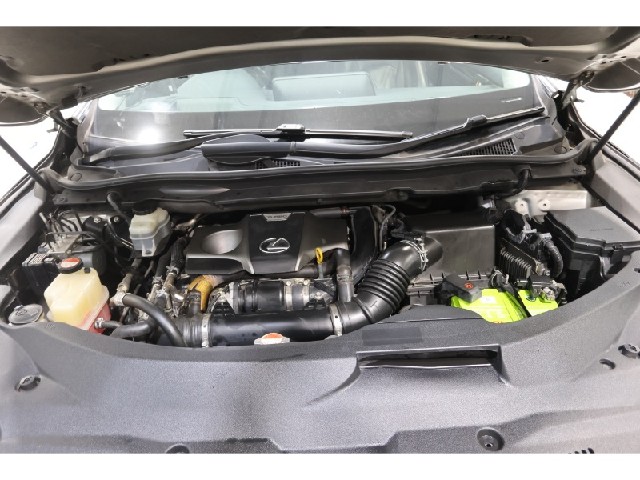 7660b809dde37ef38ad3a62f3c9e7926.jpeg