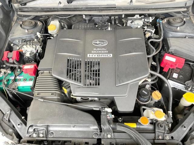 26924559_carP_l_18.jpg