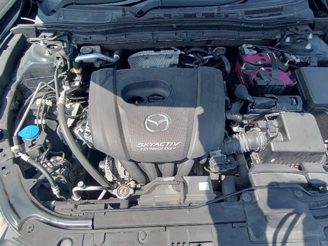 08.jpg