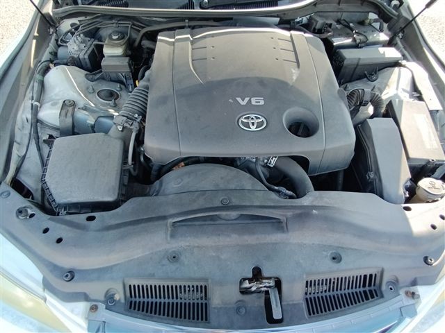 08.jpg