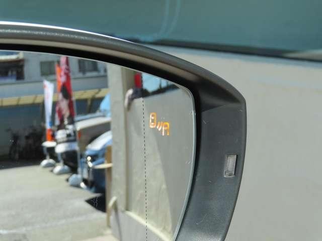 27019562_carP_l_14.jpg