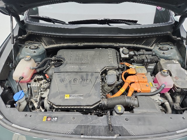 lotterental_212806859_rZg9A_10.jpg