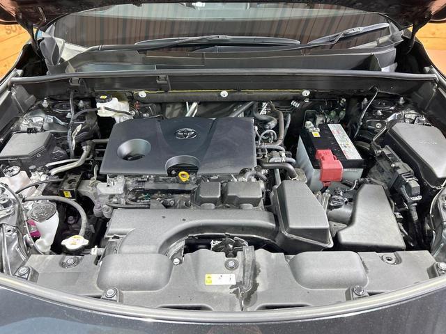 22937272_carP_l_16.jpg