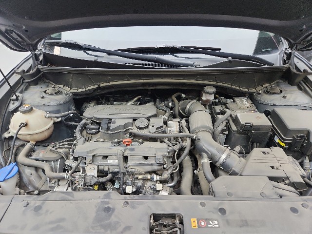 lotterental_144350541_SNT1G_4.jpg