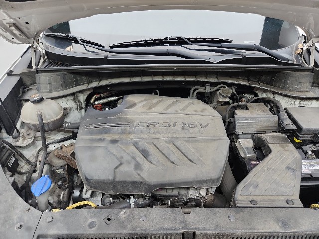 lotterental_145459836_w9cc4_2.jpg