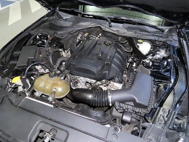 54dd7870d155451c0550a82f393e6d3e.jpeg