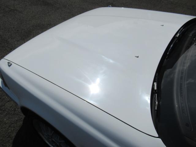 0404187A30260319W00112.jpg