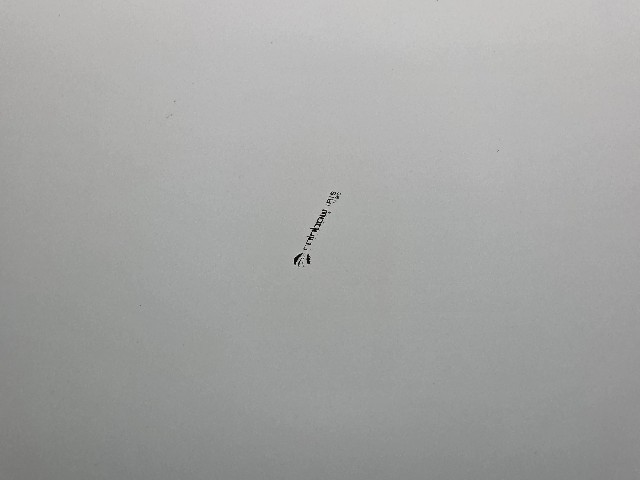 9120d4420b22e2e08822465781b4a55b.jpeg