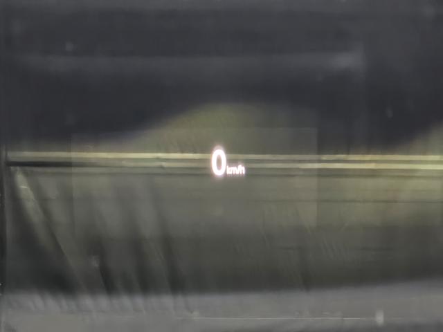 d8bc48ece0b1908e28fe0fd724416f77.jpeg