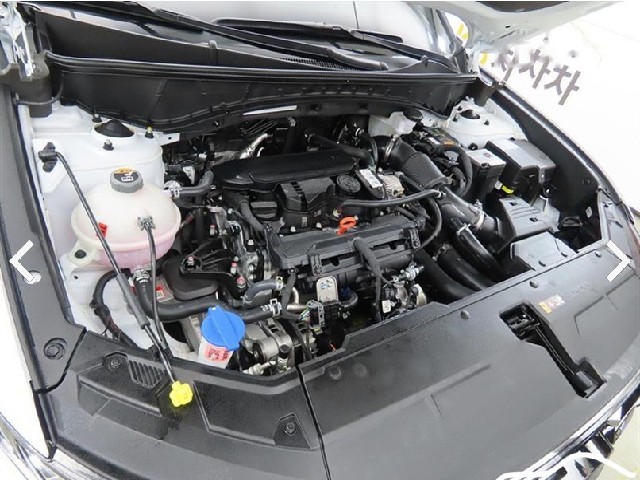 c470ecd27813450f8a8f007389fca96f.jpeg