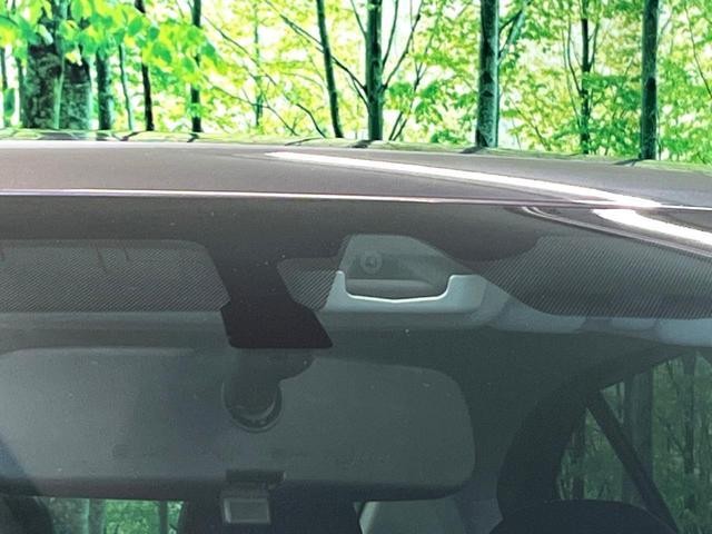 27051848_carP_l_10.jpg
