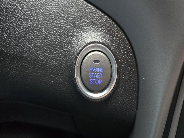 86c816f77416b2566320846d04dbf44c.jpeg
