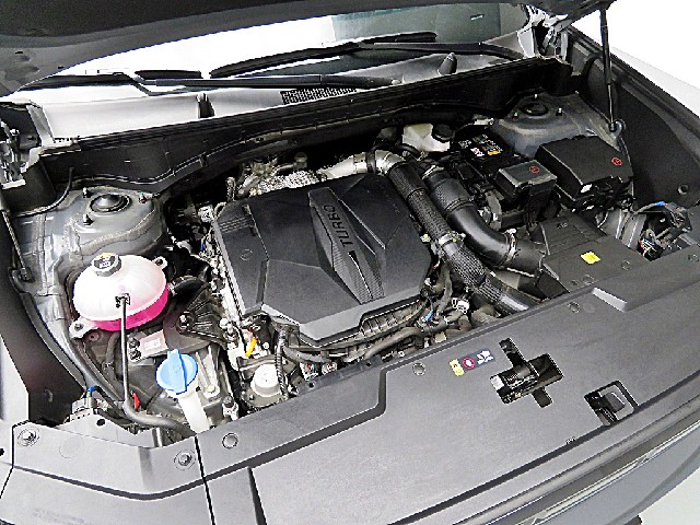 796daf243cbb40c5d83aa83ac15bd0ba.jpeg