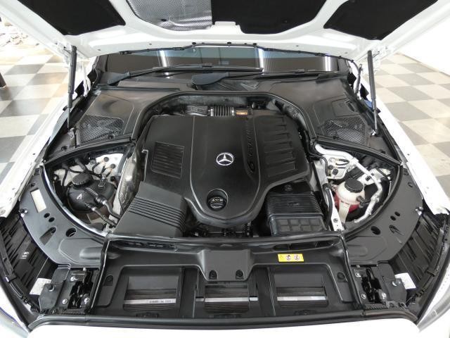 27050888_carP_l_17.jpg