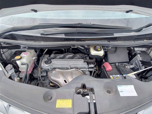 08.jpg