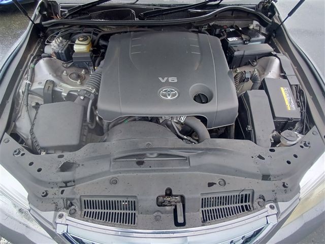 08.jpg