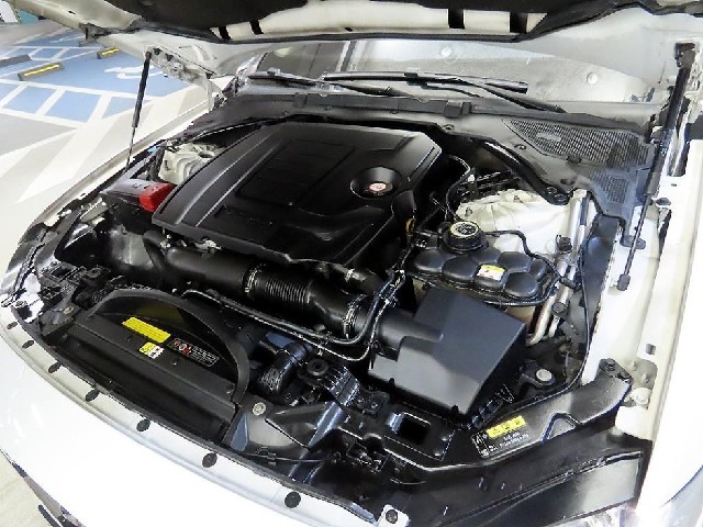 ffe2a3f9ead5ff6b970f2a49b3e03321.jpeg