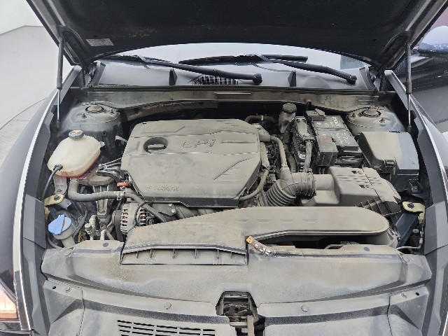 lotterental_101903368_arm1D_7.jpg