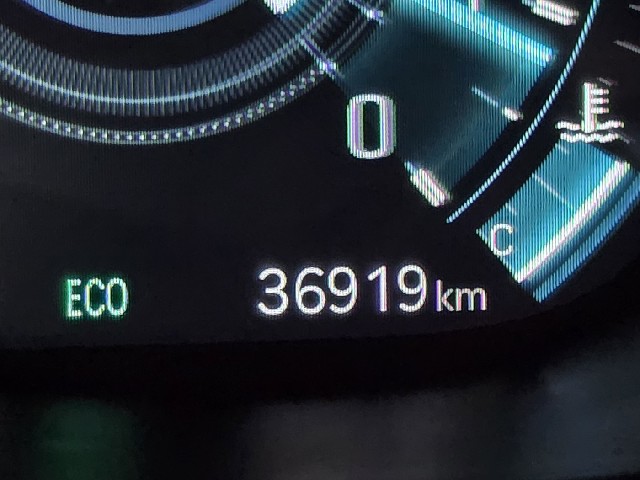 f7704aa6fdda65c36efab424b4f04b1b.jpeg