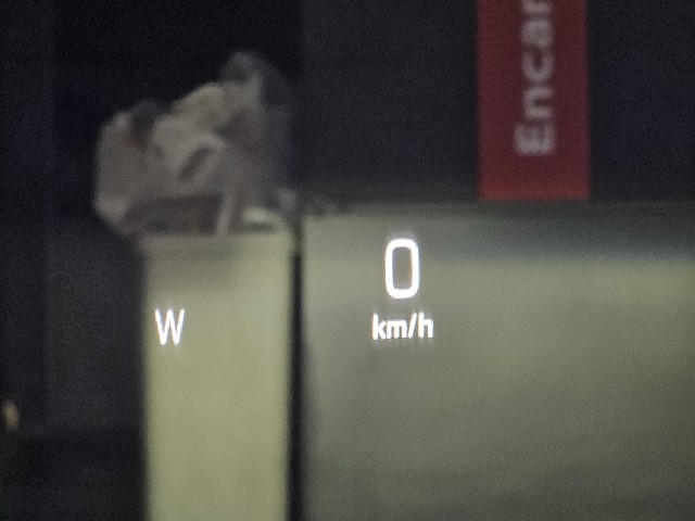 a9f2a58e4ae60705427910a634024b05.jpeg