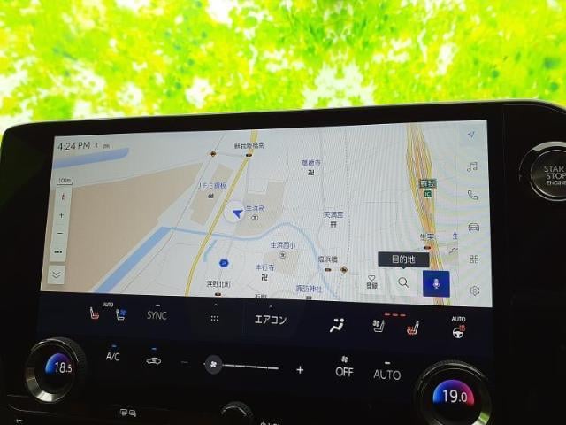 17067736_carP_l_19.jpg