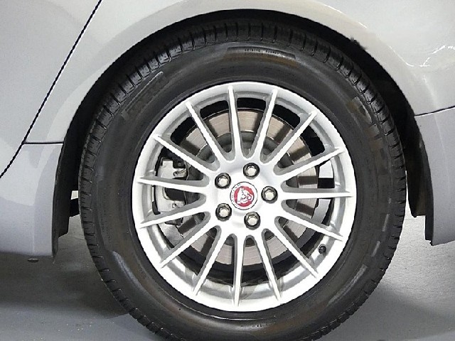 50e3cfdac13cca1db370182cc86cf527.jpeg