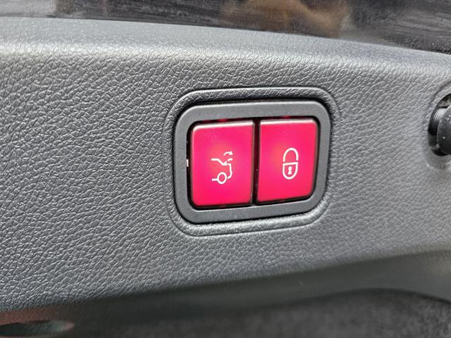 de195d165e987e57e081bea78ddc3256.jpeg